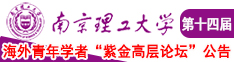 鸡巴操逼高潮喷水视频南京理工大学第十四届海外青年学者紫金论坛诚邀海内外英才！